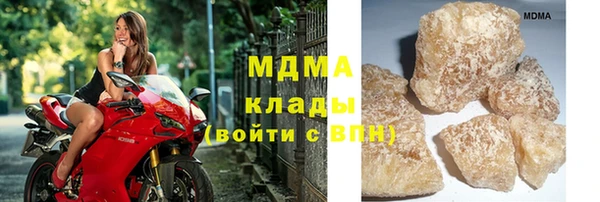 PSILOCYBIN Алзамай