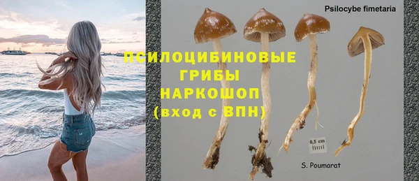 PSILOCYBIN Алзамай