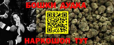 стаф Брянск