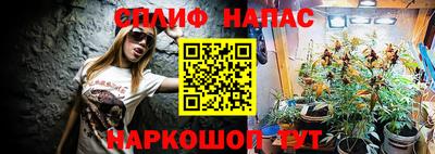 стаф Брянск