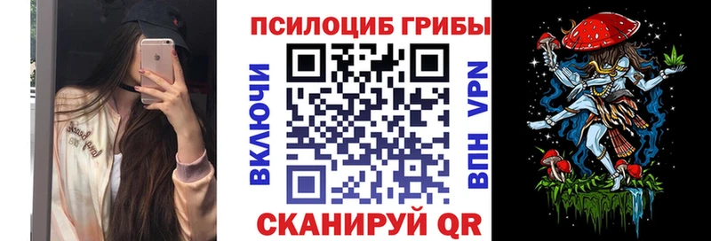 наркота  KRAKEN ONION  Псилоцибиновые грибы MAGIC MUSHROOMS  Борзя 