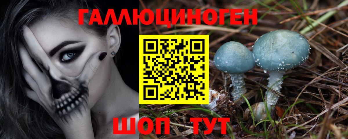 Псилоцибиновые грибы мицелий Борзя